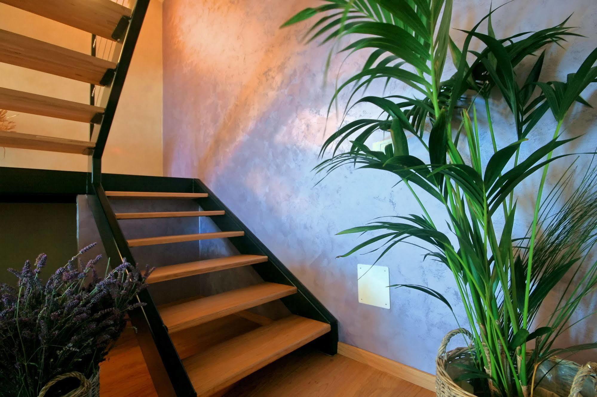 Angelo D'Oro Apartment Monte Rovinj Ngoại thất bức ảnh